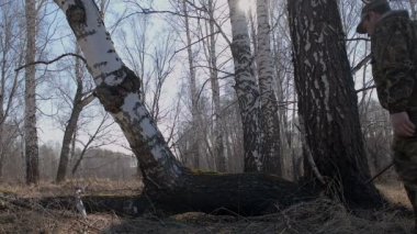 Silahlı bir avcı ormandan geçer ve ağaç gövdesinde dinlenmek için durur..