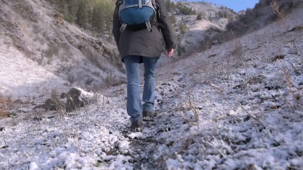 犬を飼っている少女は山の中を歩きます 雪が降っている 太陽が輝いている — ストック動画