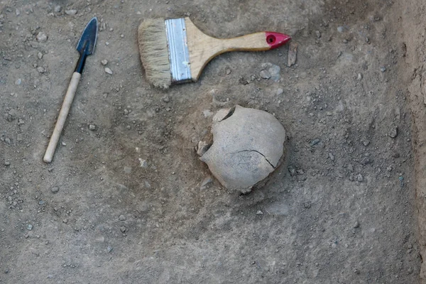 Gereedschappen Van Archeoloog Kwast Schraper Liggen Buurt Van Menselijke Overblijfselen — Stockfoto