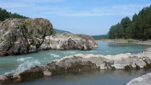 Ορεινή Ροή Του Ποταμού Katun Ρέει Μεταξύ Των Βράχων Ρωσία — Αρχείο Βίντεο
