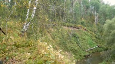 Bir silah ile bir avcı sonbahar ormanda oyun izler.