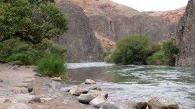 Charyn Kanyonu'ndaki Charyn Nehri kayaların arasında akar. nehrin kıyısındaki dirchs su üzerinde asılı.