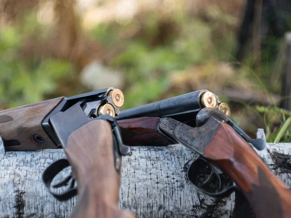 Ett Jaktgevär Och Patroner Ligger Trädstam Höst Fallna Lövverk — Stockfoto