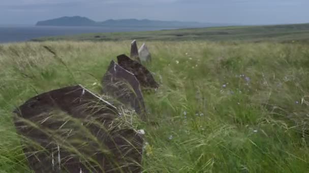 Steine Auf Einem Antiken Heiligtum Der Steppe Ufer Des Jenissei — Stockvideo