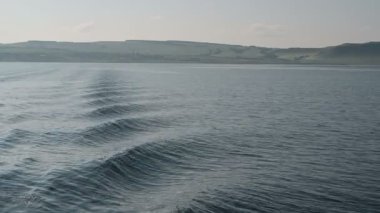 Feribottan Yenisei Nehri manzarası. Bir yaz günü Krasnoyarsk rezervuarı.