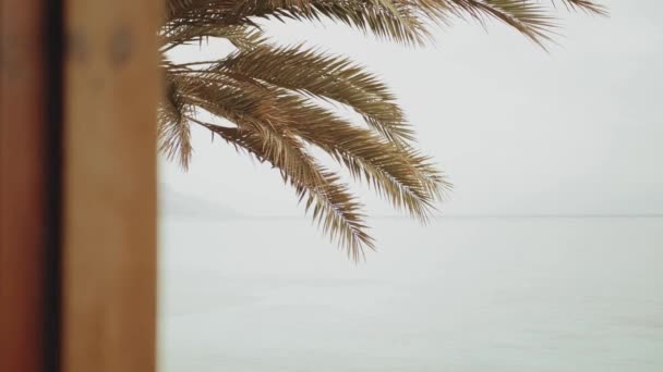 Μόνος γυναίκα πίνει καφέ ή τσάι το πρωί στο μπαλκόνι με μπλε θέα στη θάλασσα, άποψη από το παράθυρο, Αίγυπτος, 4k — Αρχείο Βίντεο