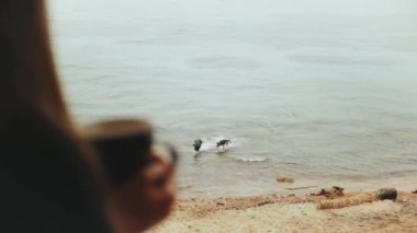 Sabahları balkonda mavi deniz manzaralı kahve ya da çay içen yalnız bir kadın. Köpekler deniz suyunda oynuyor.