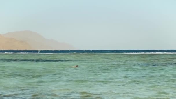 Άνθρωπος snorkeling στην κόκκινη θάλασσα, όμορφο τοπίο της γαλάζιας θάλασσας και του καθαρού ουρανού, κύματα στη θάλασσα και τα βουνά στον ορίζοντα Αίγυπτος, Dahab, 4k — Αρχείο Βίντεο