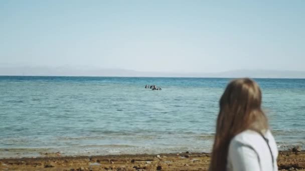 Mulher olha como grupo de mergulhadores ir mergulho em mar vermelho, dia ensolarado e água limpa em Dahab, Egito, 4k — Vídeo de Stock