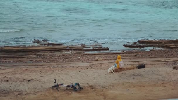 래브라도 리트리버 (Labrador Retriever) 개와 함께 해변 근처 돌 해변에 앉아 있는 아름다운 여인 이 이집트 시나이 (Sinai) 4k 해변에서 파도가 부서지고 있습니다. — 비디오