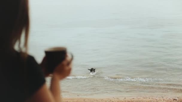 Sabahları balkonda mavi deniz manzaralı kahve ya da çay içen yalnız bir kadın. Köpekler deniz suyunda oynuyor. — Stok video