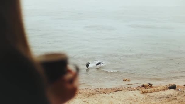 Sabahları balkonda mavi deniz manzaralı kahve ya da çay içen yalnız bir kadın. Köpekler deniz suyunda oynuyor. — Stok video