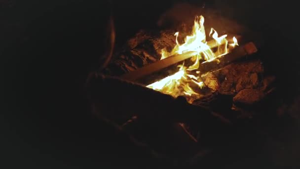 Ομάδα φίλων που διασκεδάζουν κοντά στη φωτιά στην παραλία κοντά στη θάλασσα τη νύχτα, με πλήρη hd — Αρχείο Βίντεο