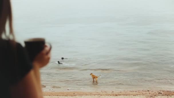 Sabahları balkonda mavi deniz manzaralı kahve ya da çay içen yalnız bir kadın. Köpekler deniz suyunda oynuyor. — Stok video