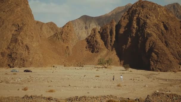 孤独な木と熱い砂漠の岩の峡谷に沿って観光客のグループ。人々はエジプト、シナイ、フルHDで車で旅行 — ストック動画
