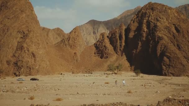 Grupo de passeio turístico ao longo do desfiladeiro de rocha no deserto quente com árvore solitária.As pessoas viajam de carro no Egito, Sinai, hd completo — Vídeo de Stock