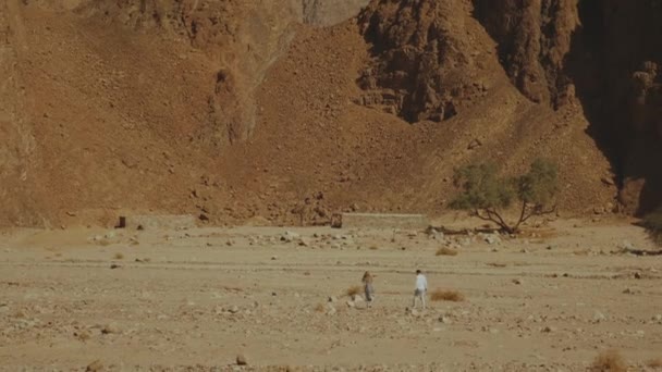 一群游客与孤独的树在炎热的沙漠中沿着岩石峡谷散步。沙漠岩石背景，埃及，西奈，完整的hd — 图库视频影像