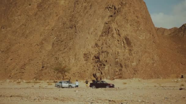 Grupo de passeio turístico ao longo do desfiladeiro de rocha no deserto quente com árvore solitária.As pessoas viajam de carro no Egito, Sinai, hd completo — Vídeo de Stock