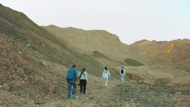 Grupo de paseo turístico a lo largo del cañón de roca en el desierto caliente, los turistas toman fotos y se divierten. Montañas del desierto de fondo, Egipto, Sinaí, full hd — Vídeo de stock