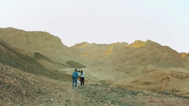 Grupo de paseo turístico a lo largo del cañón de roca en el desierto caliente, los turistas toman fotos y se divierten. Montañas del desierto de fondo, Egipto, Sinaí, full hd — Vídeo de stock