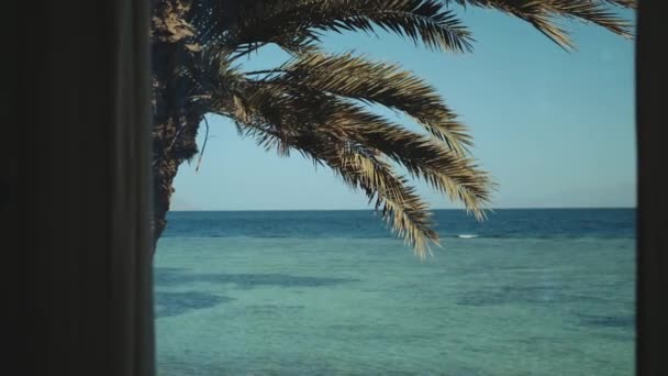 Vista da janela para o mar, ondas e palmeira, céu azul. Mar azul e céu azul, horizonte, Egito, Sinai, hd completo — Vídeo de Stock