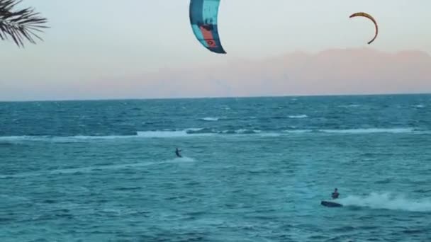 Dos hombres comen surf en el mar rojo al atardecer, Dahab Egipto. Gente windsurf y kitesurf, full hd — Vídeo de stock