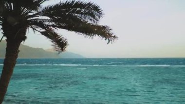Kızıl denizde, ufukta güçlü rüzgar ve dalgalarla sörf yapan yalnız bir uçurtma, Dahab Mısır. İnsanlar rüzgar sörfü ve uçurtma sörfü yapıyor.