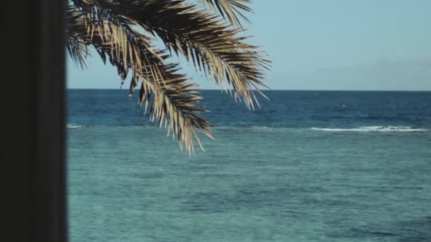 Ventana con vista al mar, olas y palmeras, cielo azul. Mar azul y cielo azul, horizonte, Egipto, Sinaí, gran pito — Vídeos de Stock