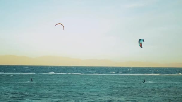 Ludzie kitesurfing w czerwonym morzu z silnym wiatrem, Dahab Egipt. Zwiedzanie błękitnej wody z górami w tle i ludzi windsurfing i kitesurfing, 4k — Wideo stockowe