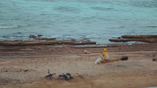 Mulher bonita em uma jaqueta amarela sentada com Labrador Retriever cão na praia da costa pedregosa perto do mar, as ondas estão quebrando na costa, Egito Sinai, hd completo — Vídeo de Stock