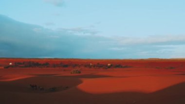  Sahra Çölü 'nün kum tepelerindeki kampta duran develerin siluetleri. Sahra Çölü 'ndeki karavan turizm arka planında safari macerası. Fas 'ın Sahra Çölü, 4k