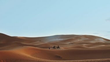 Sahra Çölü 'nün kum tepelerindeki deve siluetleriyle Fas beşiği. Sahra Çölü 'ndeki karavan turizm arka planında safari macerası. Fas 'ın Sahra Çölü, 4k