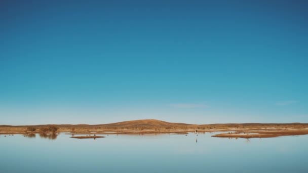 Pohled na jezero Merzouga Maroko, ptáci na jezeře a divoké velbloudy chodit na obzoru. Jezero v poušti Maroko, 4k — Stock video