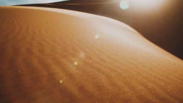 Il vento soffia sabbia nel deserto, dune di sabbia nel deserto del Sahara al tramonto, coniglietti solari in macchina fotografica, Marocco bei paesaggi desertici, 4k — Video Stock