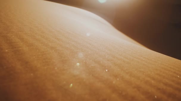 Närbild av vinden blåser sand i öknen, sanddyner i Saharaöknen vid solnedgången, solkaniner in i kameran, full hd — Stockvideo