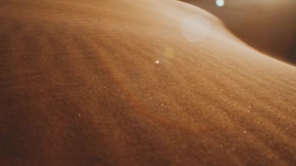 Gros plan du vent souffle du sable dans le désert, dunes dans le désert du Sahara au coucher du soleil, lapins du soleil dans la caméra, pleine HD — Video