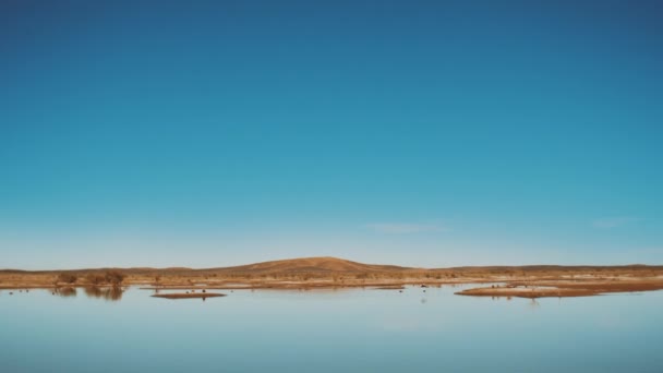 Blick auf den See von Merzouga Marokko, Vogel fliegen über den See, Vögel auf dem See und wilde Kamele gehen am Horizont. See in der marokkanischen Wüste, voller Wasser — Stockvideo