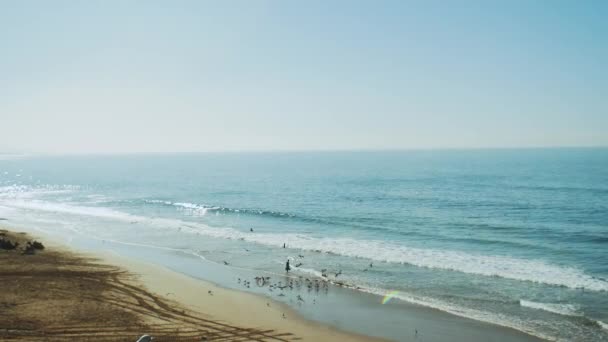 Hombre pescador alimenta a las gaviotas con el resto de los peces, vista de las hermosas olas del mar rompiendo en la costa de arena, aguas profundas del océano azul y olas espumosas de Marruecos, hd completa — Vídeos de Stock