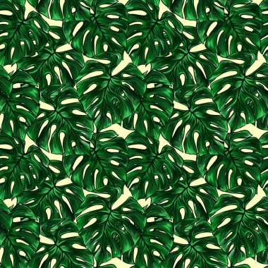 Yeşil monstera yaprak tropikal bitki suluboya mürekkep satırı elle çizilmiş kroki Dikişsiz desen doku arka plan sanat.