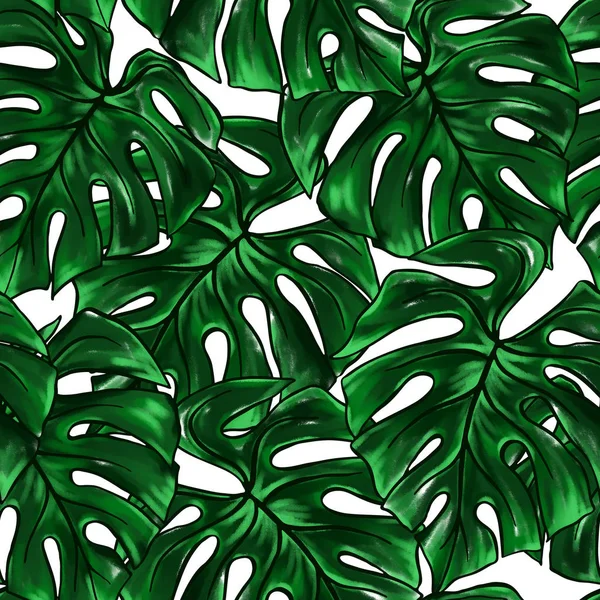 Groene Monstera Blad Tropische Plant Aquarel Inkt Lijn Kunst Hand — Stockfoto