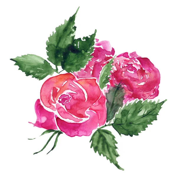 Aquarell Rosa Rot Rose Blume Grün Blatt Pflanze Hand Gezeichnet — Stockfoto