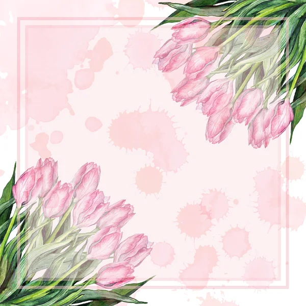 Акварель Рожевий Тюльпан Квітка Букет Композиція Природа Пляма Рамка Рамка — стокове фото