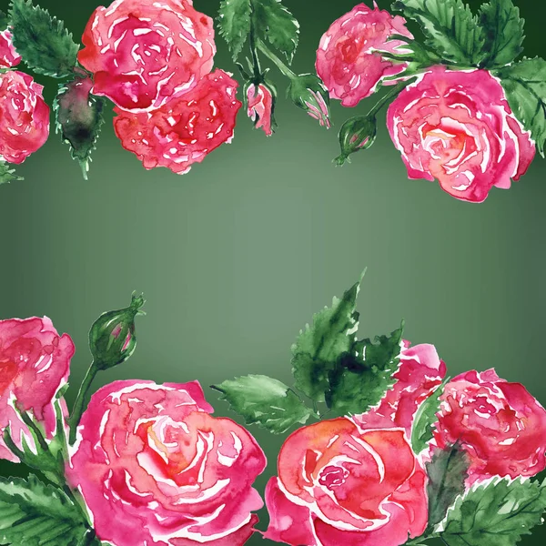 Acuarela Rosa Carmesí Rojo Rosa Peonía Flor Composición Floral Marco —  Fotos de Stock