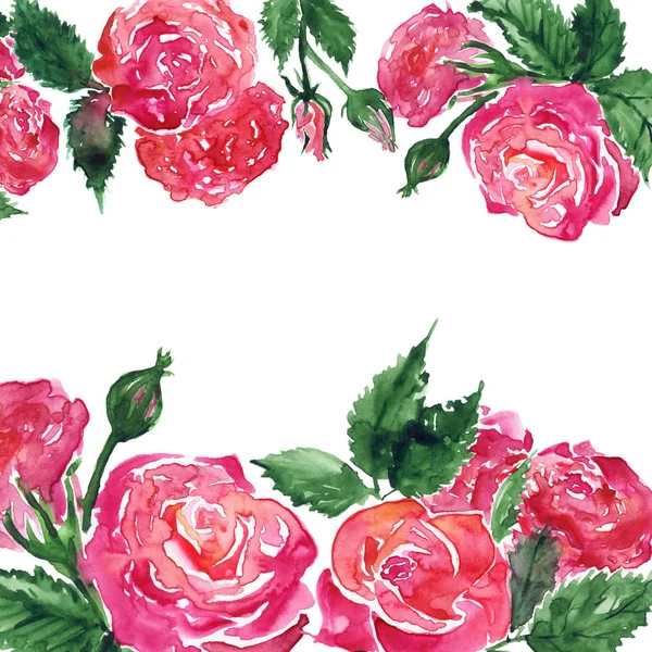 水彩粉红色深红色红玫瑰牡丹花组成框架边框模板背景样本 — 图库照片