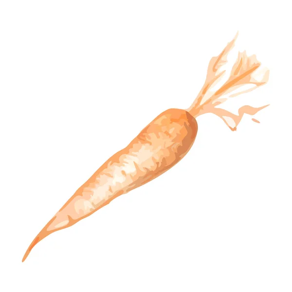 橙色单色胡萝卜蔬菜简单插图素描艺术载体 — 图库矢量图片
