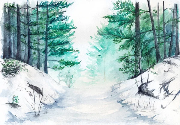 水の色ターコイズ冬の森松の風景 — ストック写真