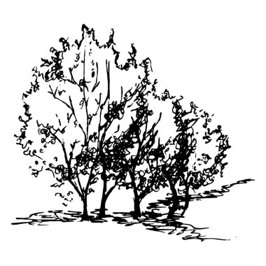 Tek renkli siyah beyaz ağaç çalısı silueti çizilmiş çizim çizgisi izole edilmiş vektör