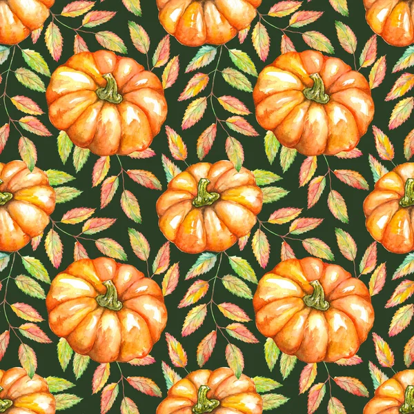 Aquarell Orange Kürbis Gemüse Eberesche Beere Blatt Zweig Pflanze Herbst — Stockfoto