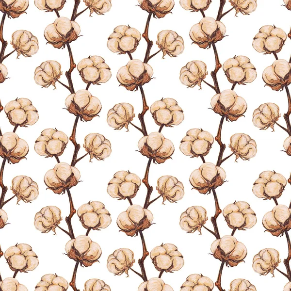 Марочное Цветение Хлопка Цветок Сепия Набросок Плавный Рисунок Текстуры Фон — стоковое фото