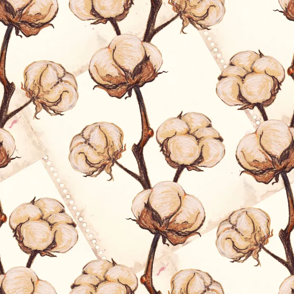 Vintage Pamut Virág Növény Szépia Vázlat Zökkenőmentes Minta Textúra Háttér — Stock Fotó